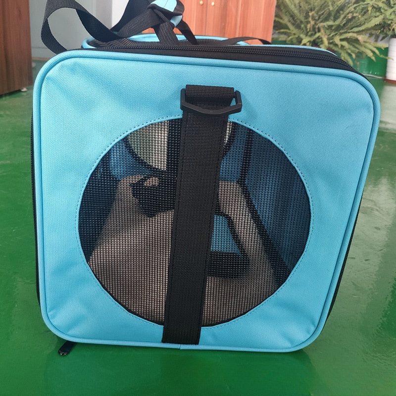 FoldAway Pet Carrier Bag for Traveling and Daily Use